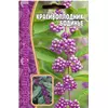 Красивоплодник Бодинье 7 шт РЕДКИЕ СЕМЕНА