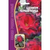 Адениум Черная птица 3 шт РЕДКИЕ СЕМЕНА