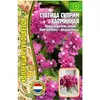 Статица Суприм Карминная 20 шт РЕДКИЕ СЕМЕНА