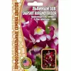 Львиный  Зев SNAPSHOT BURGUNDY BICOLOR F1 5 шт РЕДКИЕ СЕМЕНА