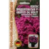 Пентас продолговатый F1 GRAFFITI OG VIOLET 3 шт РЕДКИЕ СЕМЕНА