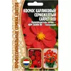 Космос Карпет Ред карликовый серножелтый 5 шт РЕДКИЕ СЕМЕНА
