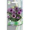 Эустома кр цв Сюита Лиловая 5 шт ПОИСК