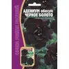 Адениум обесум Черное Болото 3 шт РЕДКИЕ СЕМЕН
