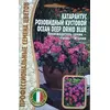 Катарантус розовидный OCEAN DEEP ORHID BLUE  5 шт РЕДКИЕ СЕМЕНА