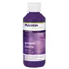 PLAGRON POWER ROOTS Органический стимулятор корнеобразования 250 мл