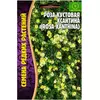 Роза кустовая Ксантина 10 шт РЕДКИЕ СЕМЕНА