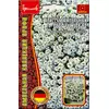 Алиссум GIGA WHITE ампельная 5 шт РЕДКИЕ СЕМЕНА