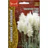 Пампасная трава Белая 0,01 г РЕДКИЕ СЕМЕНА