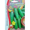 Огурец Изыд (корнишон) 10 шт РЕДКИЕ СЕМЕНА
