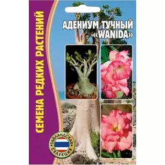 Адениум тучный WANIDA 3 шт РЕДКИЕ СЕМЕНА