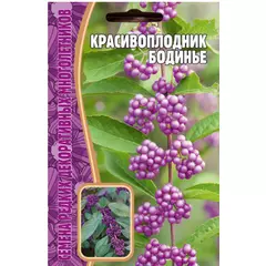 Красивоплодник Бодинье 7 шт РЕДКИЕ СЕМЕНА