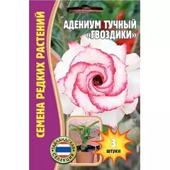 Адениум Тучный Гвоздики 3 шт РЕДКИЕ СЕМЕНА
