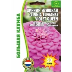 Цинния Виолет Квин изящная 50 шт РЕДКИЕ СЕМЕНА