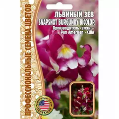 Львиный  Зев SNAPSHOT BURGUNDY BICOLOR F1 5 шт РЕДКИЕ СЕМЕНА