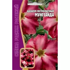 Адениум пестролистный Мунгсакда 3 шт РЕДКИЕ СЕМЕНА