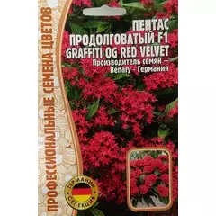 Пентас продолговатый F1 GRAFFITI OG RED VELVET  3 шт РЕДКИЕ СЕМЕНА