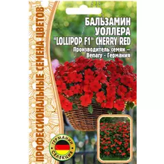 Бальзамин Уоллера LOLLIPOP CHERRY RED F1 5 шт РЕДКИЕ СЕМЕНА