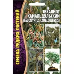 Эвкалипт Камадульский 0,05 г РЕДКИЕ СЕМЕНА