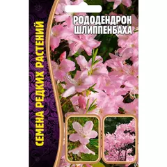 Рододендрон Шлиппенбаха 0,01 г РЕДКИЕ СЕМЕНА