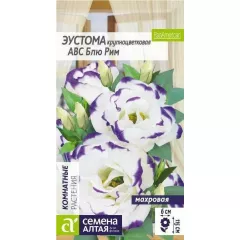 Эустома махровая АВС F1 Блю Рим 5 шт АС