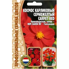 Космос Карпет Ред карликовый серножелтый 5 шт РЕДКИЕ СЕМЕНА
