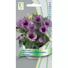 Эустома кр цв Сюита Лиловая 5 шт ПОИСК