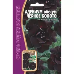 Адениум обесум Черное Болото 3 шт РЕДКИЕ СЕМЕН