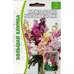 Маттиола срезочная Махровый гигант микс 50 шт РЕДКИЕ СЕМЕНА