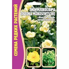 Пион Млокосевича 3 шт РЕДКИЕ СЕМЕНА