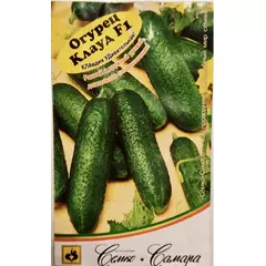 Огурец Клауд F1 10 шт Офорт