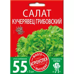 Салат Кучерявец Грибовский 3 г АГРОУСПЕХ МНОГО-ВЫГОДНО