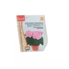 Пеларгония карликовая Нано Розовая F1 3 шт РЕДКИЕ СЕМЕНА