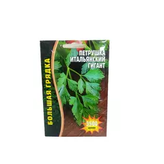 Петрушка Итальянский Гигант 3500 шт РЕДКИЕ СЕМЕНА