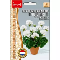 Пеларгония карликовая Нано Белая F1 3 шт РЕДКИЕ СЕМЕНА