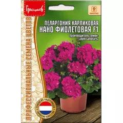 Пеларгония карликовая Нано Фиолетовая F1 3 шт РЕДКИЕ СЕМЕНА