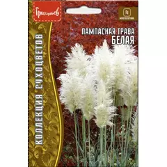 Пампасная трава Белая 0,01 г РЕДКИЕ СЕМЕНА
