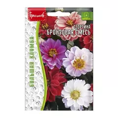 Георгина Бронзовая смесь 20 шт РЕДКИЕ СЕМЕНА