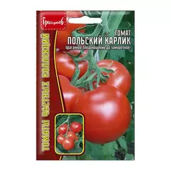 Томат Польский карлик 10 шт РЕДКИЕ СЕМЕНА