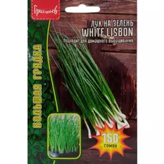 Лук на зелень WHITE LISBON 150 шт РЕДКИЕ СЕМЕНА