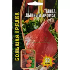 Тыква Дынный аромат 20 шт РЕДКИЕ СЕМЕНА