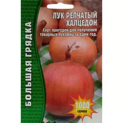 Лук репчатый Халцедон 1000 шт РЕДКИЕ СЕМЕНА