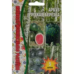 Арбуз Русская березка 5 шт РЕДКИЕ СЕМЕНА