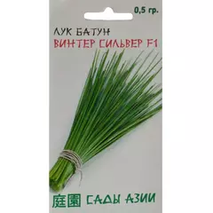 Лук батун Винтер Сильвер F1 0,5 г Сады Азии