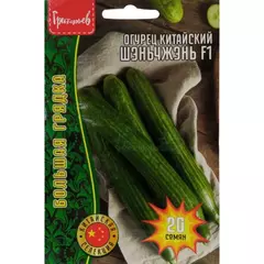 Огурец Китайский Шэньчжэнь F1 20 шт РЕДКИЕ СЕМЕНА