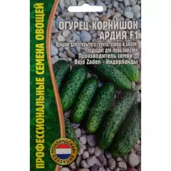 Огурец Ардия F1  корнишон 7 шт РЕДКИЕ СЕМЕНА