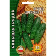 Огурец Шремский F1 (польская селекция) 50 шт РЕДКИЕ СЕМЕНА