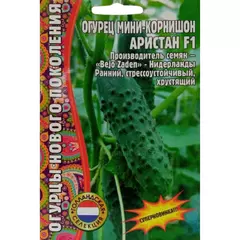 Огурец Аристан F1 мини корнишон 6 шт РЕДКИЕ СЕМЕНА
