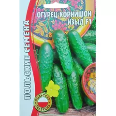 Огурец Изыд (корнишон) 10 шт РЕДКИЕ СЕМЕНА