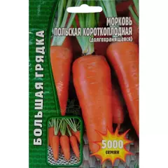 Морковь Польская Короткоплодная долгохранящаяся 5000 шт РЕДКИЕ СЕМЕНА